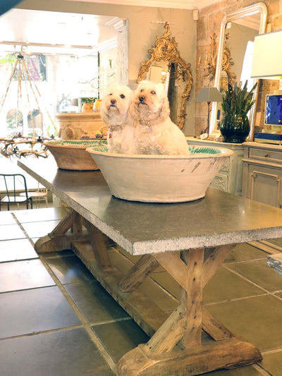Polished Bluestone table - In store