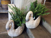 FRENCH SWAN PLANTERS 1950'S