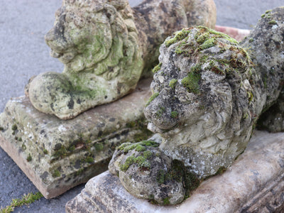French Stone Lions