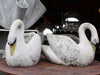 French Stone Swans