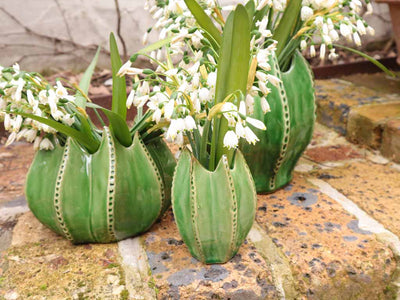 Cacti Vase