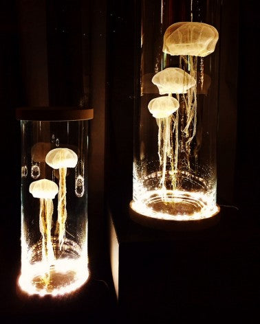 Illuminated Jellyfish sculptures small