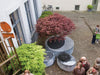 Zinc Oval Planters with Seat by Domani