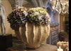 Organics Collection Vases