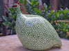 Ceramic Hand Painted Pintades Small Green Spotted Green